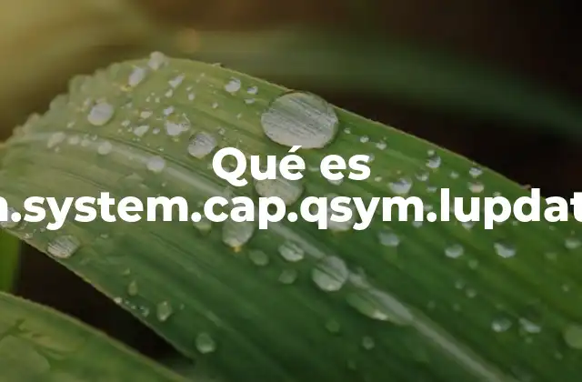 Qué es Com.system.cap.qsym.lupdater.a