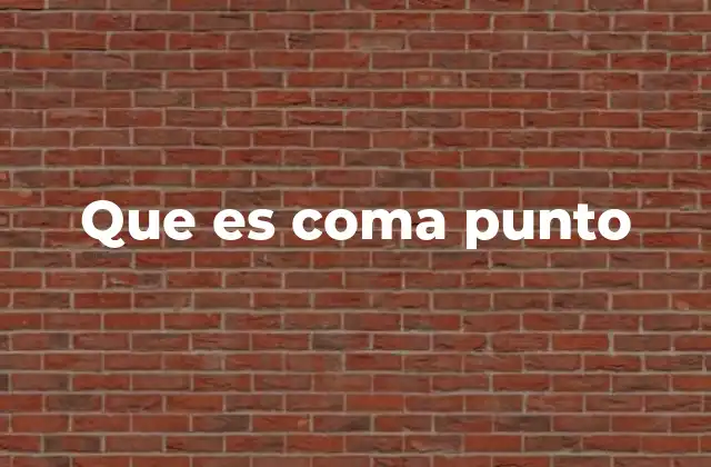 Que es Coma Punto