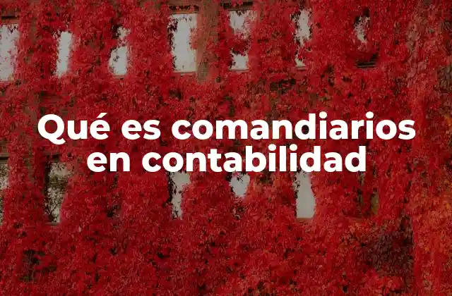 Qué es Comandiarios en Contabilidad