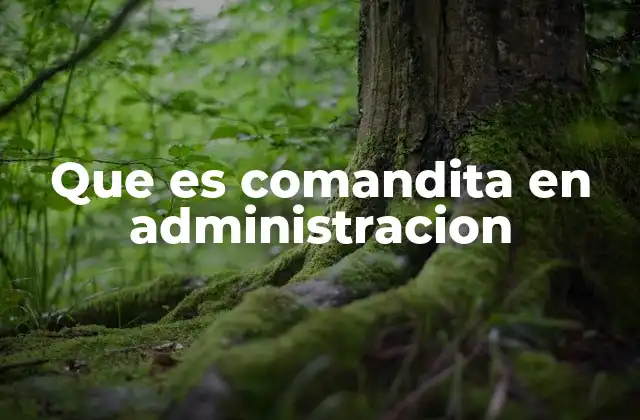 Que es Comandita en Administracion