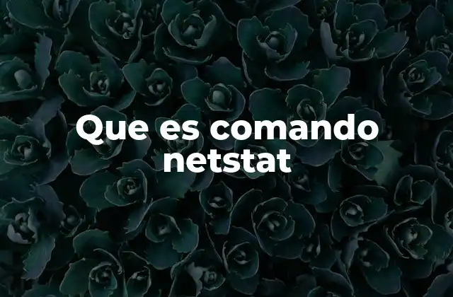 Que es Comando Netstat