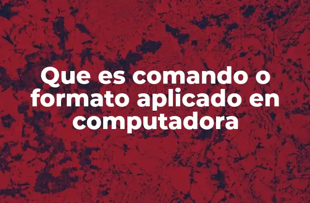 La importancia de los comandos y formatos en la interacción con la computadora