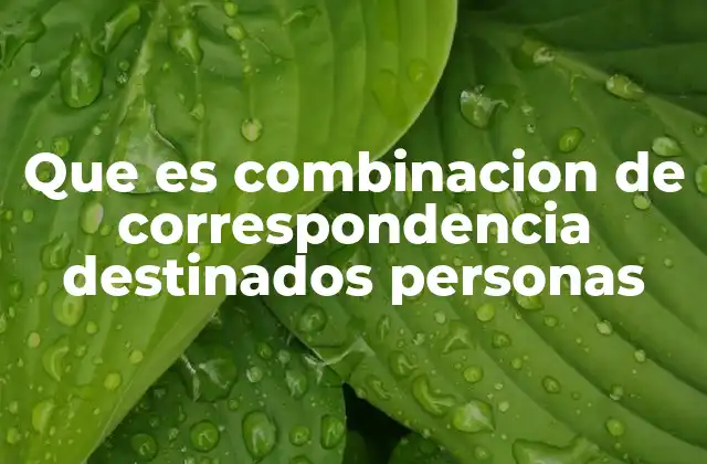 Que es Combinacion de Correspondencia Destinados Personas