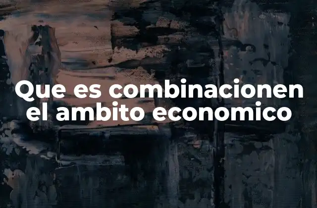 Que es Combinacionen el Ambito Economico
