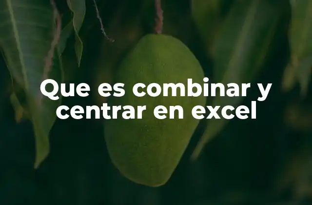 Que es Combinar y Centrar en Excel