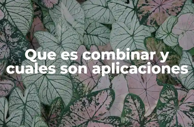 Que es Combinar y Cuales Son Aplicaciones