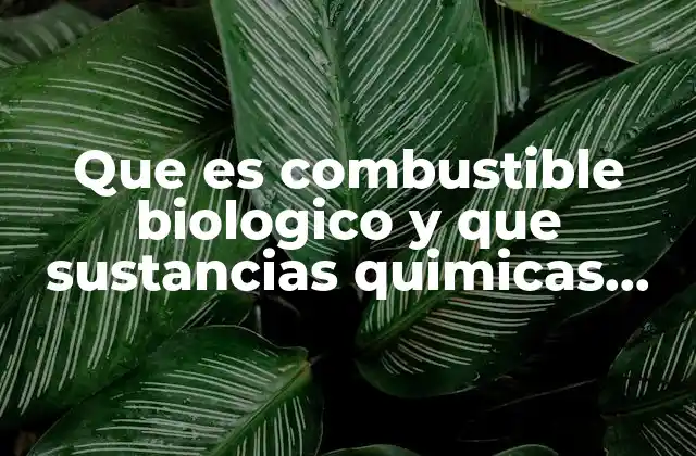 Que es Combustible Biologico y que Sustancias Quimicas Estan Involucradas