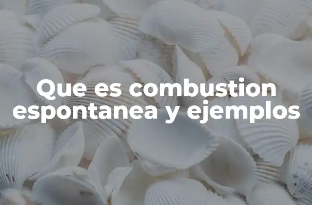 Que es Combustion Espontanea y Ejemplos