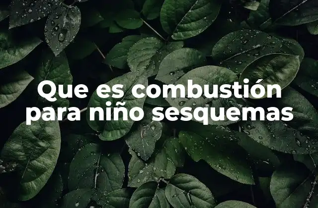 Que es Combustión para Niño Sesquemas