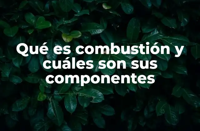 Qué es Combustión y Cuáles Son Sus Componentes