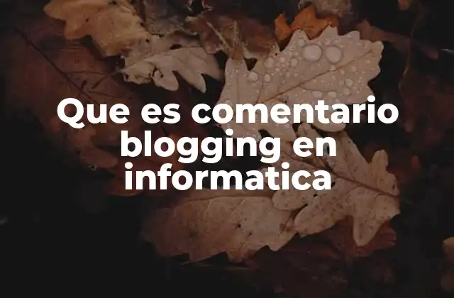 Que es Comentario Blogging en Informatica