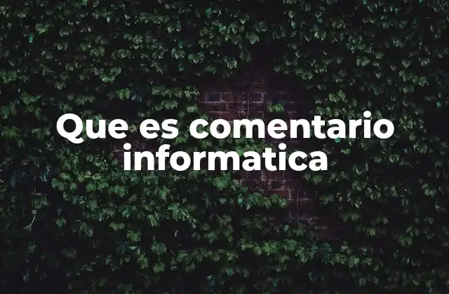 Que es Comentario Informatica