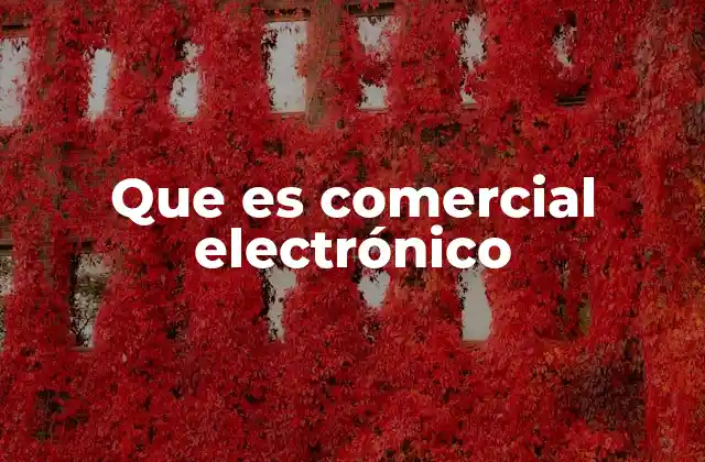 Que es Comercial Electrónico