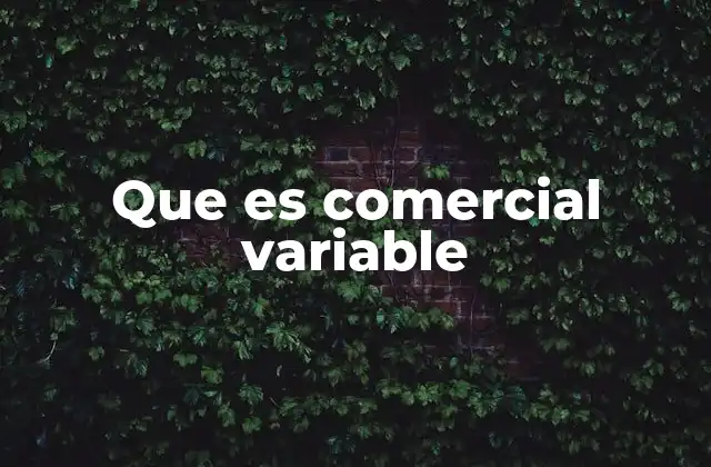 Que es Comercial Variable