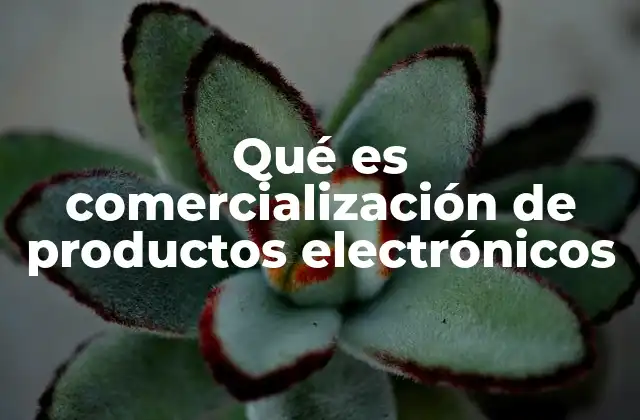 Qué es Comercialización de Productos Electrónicos