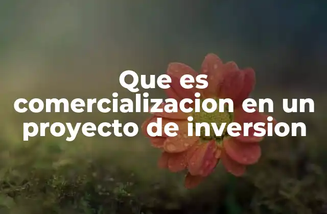 Que es Comercializacion en un Proyecto de Inversion