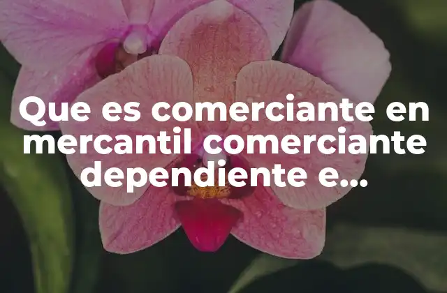 Características esenciales de un comerciante