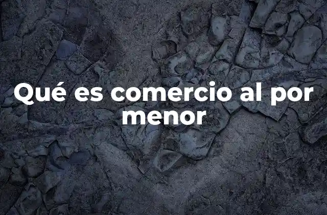 Qué es Comercio Al por Menor