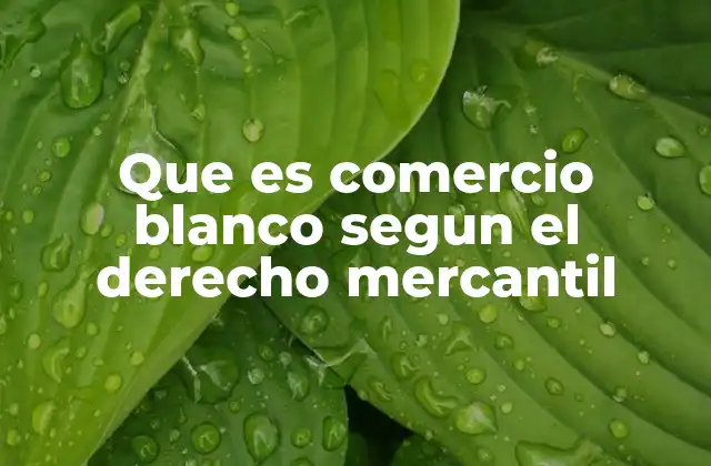 Que es Comercio Blanco Segun el Derecho Mercantil