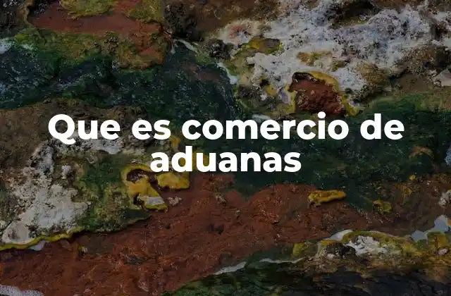 Que es Comercio de Aduanas
