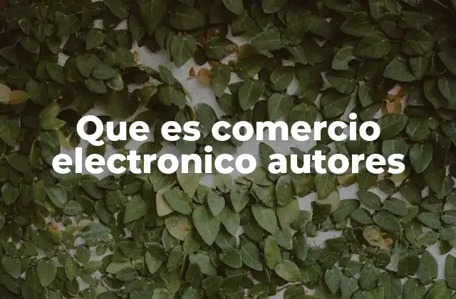 Que es Comercio Electronico Autores
