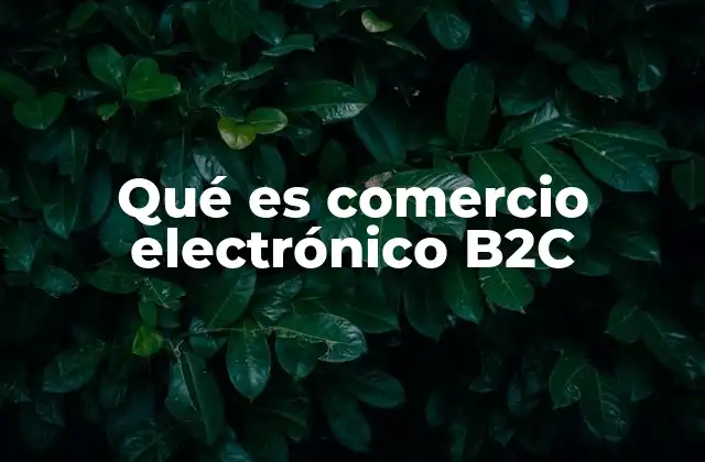 Qué es Comercio Electrónico B2c