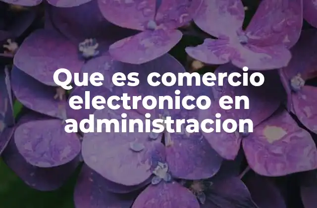 Que es Comercio Electronico en Administracion 2 La importancia del comercio electrónico en la gestión empresarial