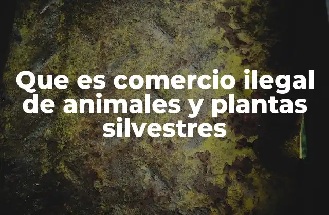 Que es Comercio Ilegal de Animales y Plantas Silvestres