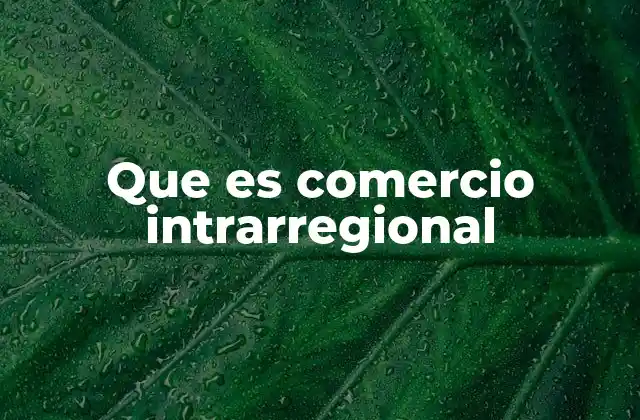 Que es Comercio Intrarregional