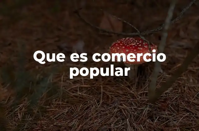 Que es Comercio Popular