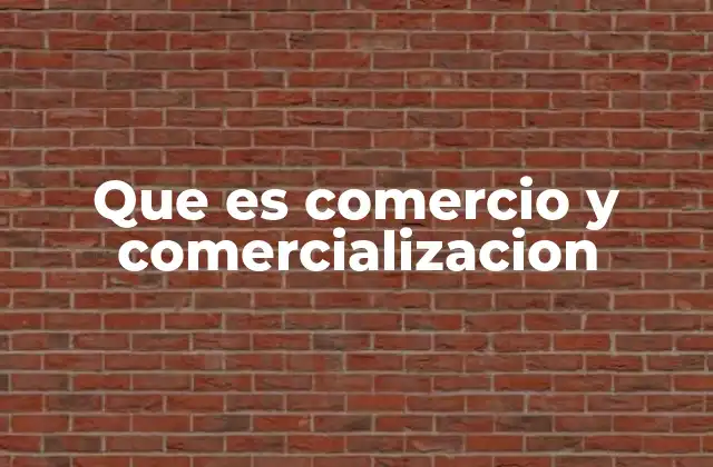 Que es Comercio y Comercializacion