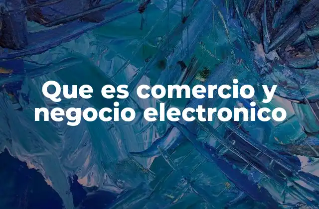 Que es Comercio y Negocio Electronico