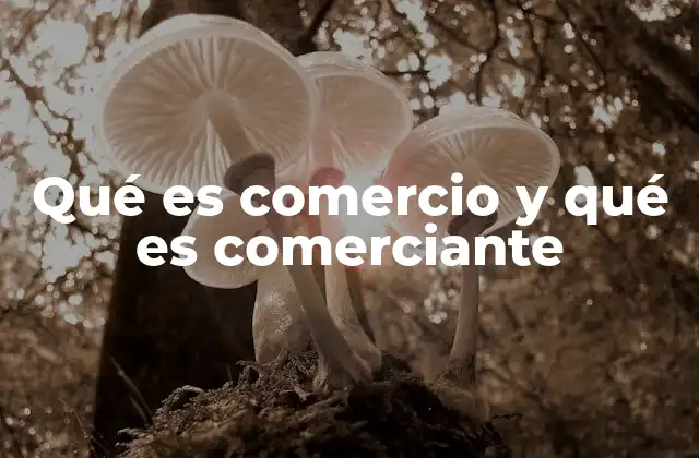 Qué es Comercio y Qué es Comerciante 2 El comercio como motor de la economía