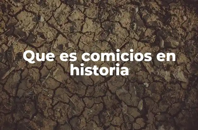 Que es Comicios en Historia