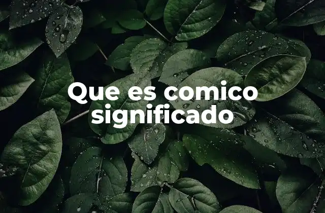 Que es Comico Significado