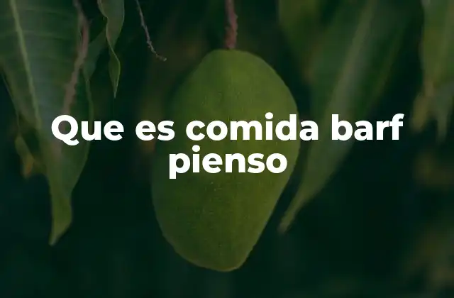 Que es Comida Barf Pienso 2 La evolución de la alimentación canina y felina