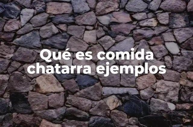 Qué es Comida Chatarra Ejemplos