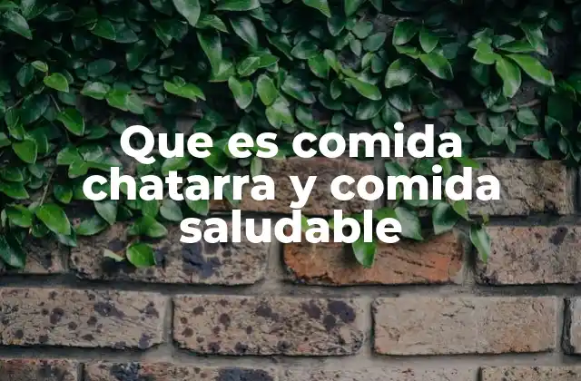 Que es Comida Chatarra y Comida Saludable