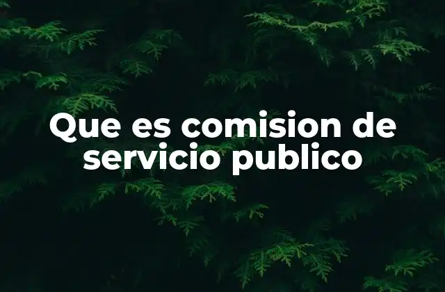 Que es Comision de Servicio Publico
