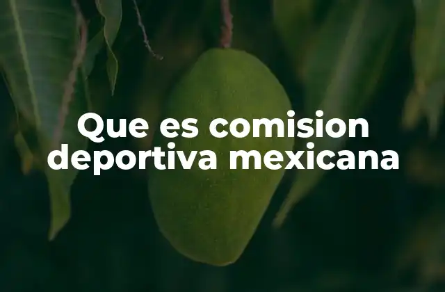 El papel de la Comisión en el desarrollo del deporte nacional