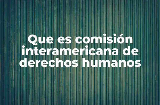 Que es Comisión Interamericana de Derechos Humanos