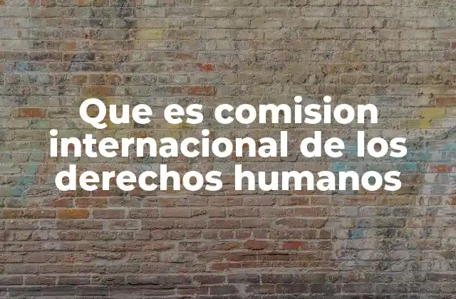 Que es Comision Internacional de los Derechos Humanos