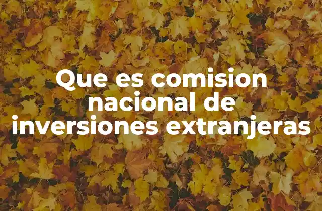 Que es Comision Nacional de Inversiones Extranjeras 2 La importancia de la regulación en las inversiones extranjeras