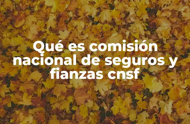 Qué es Comisión Nacional de Seguros y Fianzas Cnsf