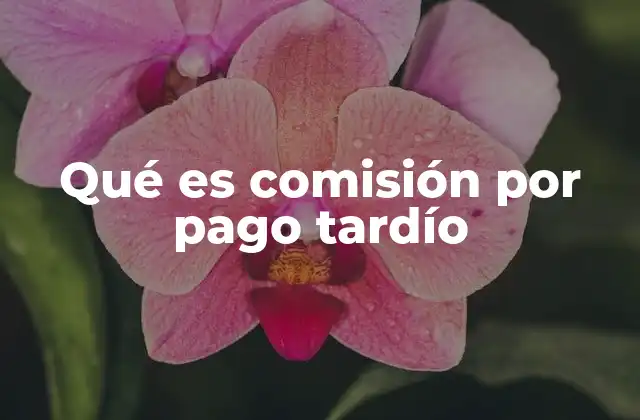 Qué es Comisión por Pago Tardío