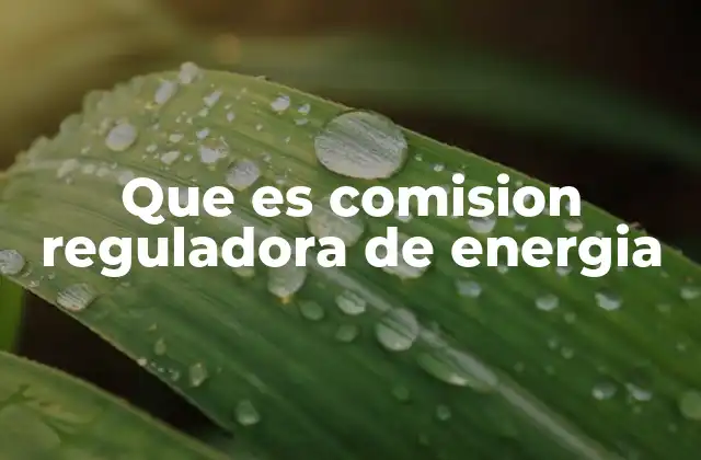 Que es Comision Reguladora de Energia