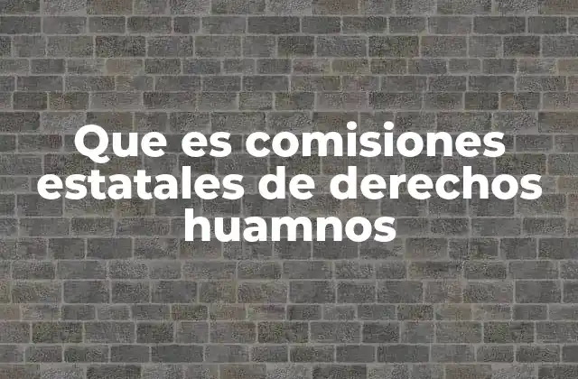 Que es Comisiones Estatales de Derechos Huamnos