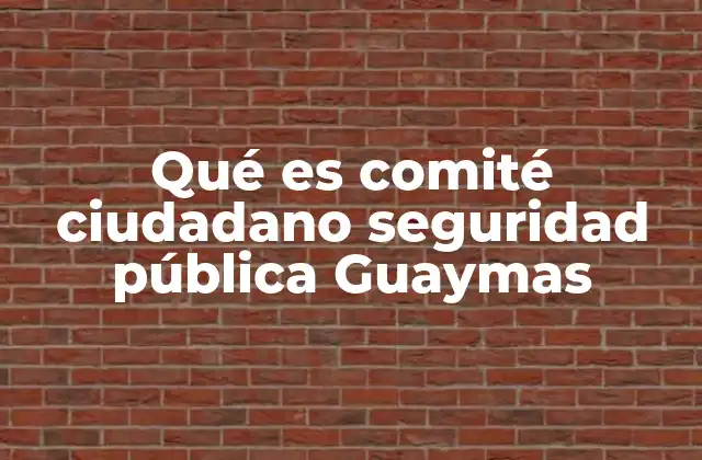 Qué es Comité Ciudadano Seguridad Pública Guaymas