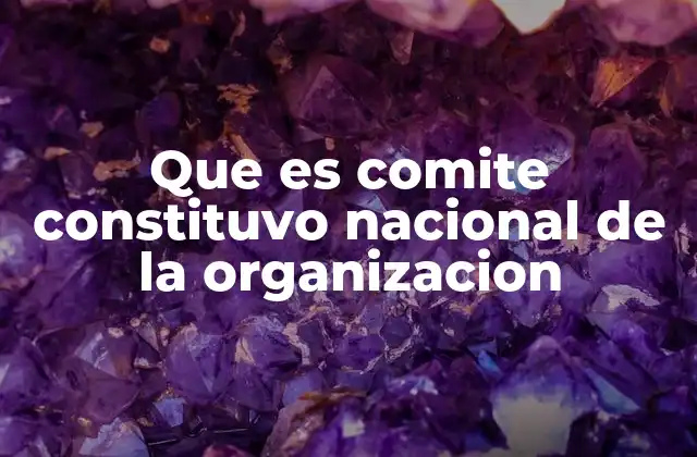 Que es Comite Constituvo Nacional de la Organizacion