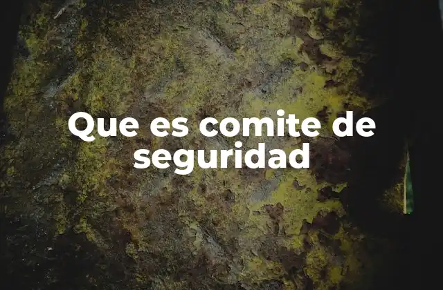 Que es Comite de Seguridad